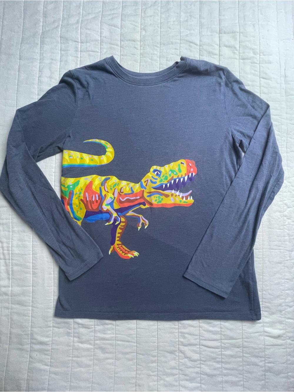 Cat & Jack Gray T-Rex long sleeve T-shirt Boys XL